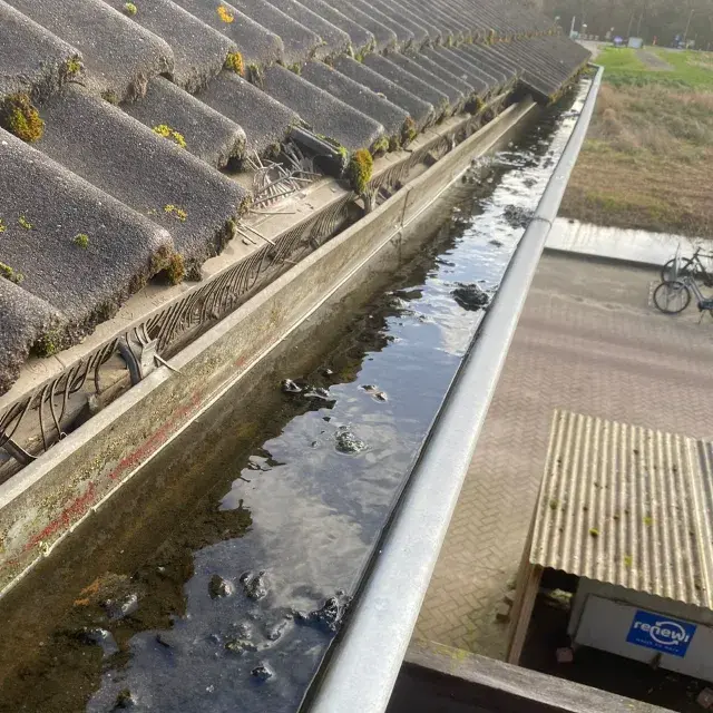 Dakgoot laten schoonmaken met behulp van een ladder