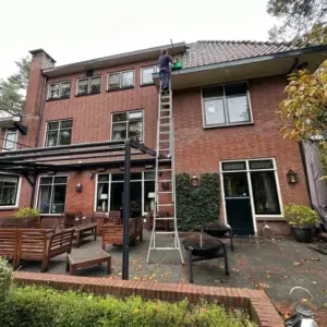 Hoe vaak dakgoot schoonmaken bij een woning met veel bomen