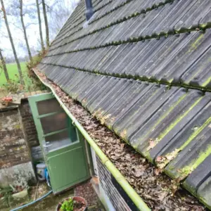Praktijkvoorbeelden (1)