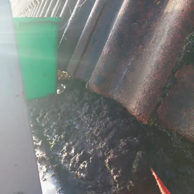 Regelmatig dakgoot schoonmaken om verstoppingen te voorkomen