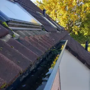 Zelf de dakgoot schoonmaken (1)