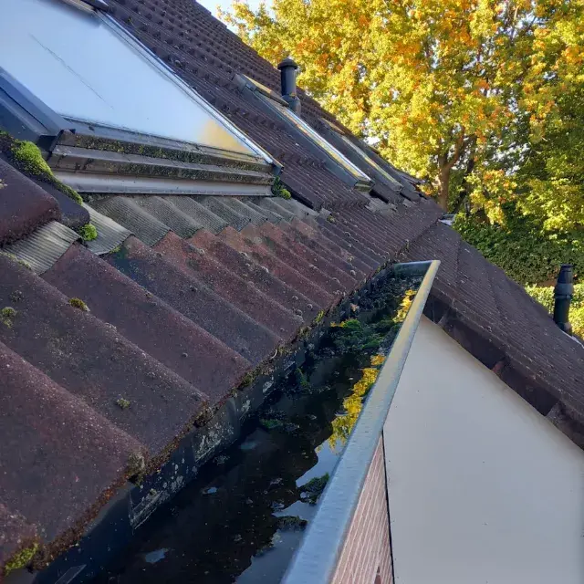 Zelf de dakgoot schoonmaken (1)