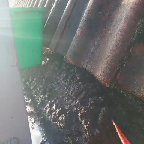 Dakgoot reinigen met een dikke laag opgehoopt mos, modder en stilstaand regenwater