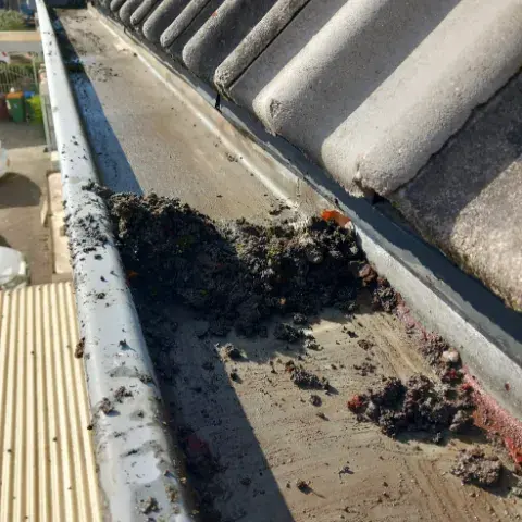 Dakgoot schoonmaken en opgehoopt mos en vuil verwijderen