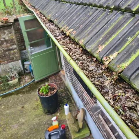 Dakgoot van een bijgebouw volledig gevuld met opgehoopte bladeren en vuil