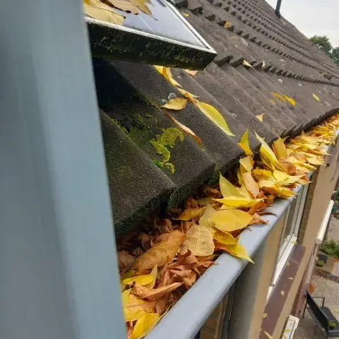 Dakgoot vol gele herfstbladeren die de afvoer van regenwater belemmeren