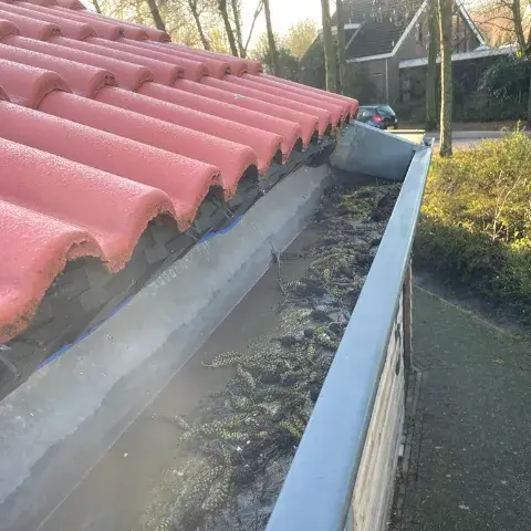 Dakgoot bij een dakkapel met mos en stilstaand regenwater