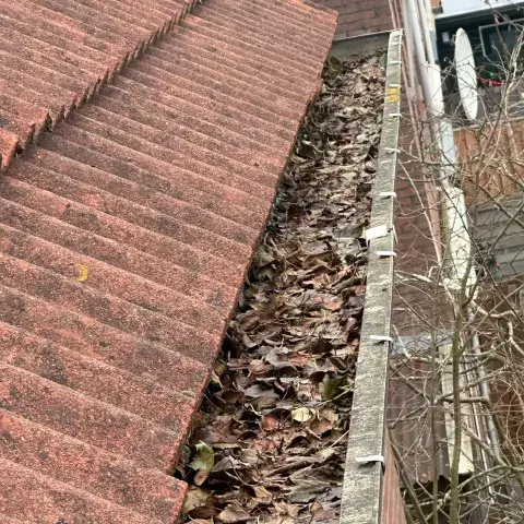 Dakgoot volledig gevuld met natte bladeren en vuil, met een bladvanger bij de afvoer