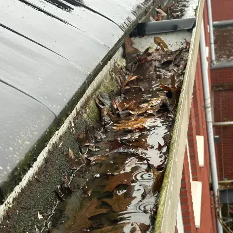Verstopte dakgoot met bladeren en stilstaand regenwater