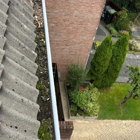 Vervuilde dakgoot met bladeren en mos langs het dak van een woning